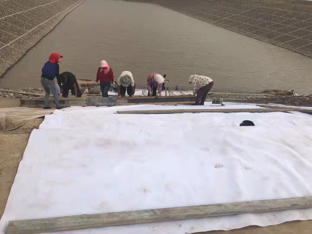 土工膜工程案例