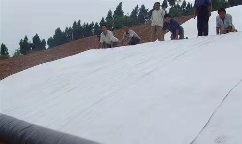 覆盖膨润土防水毯